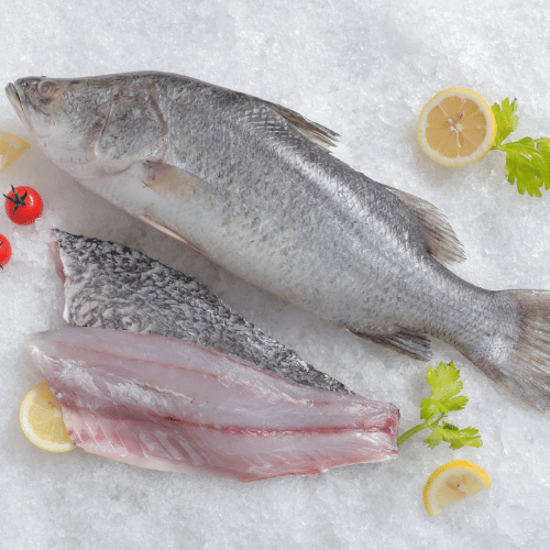 8 Barramundi.jpg